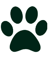 Лапки котиков (логотип-заглушка)